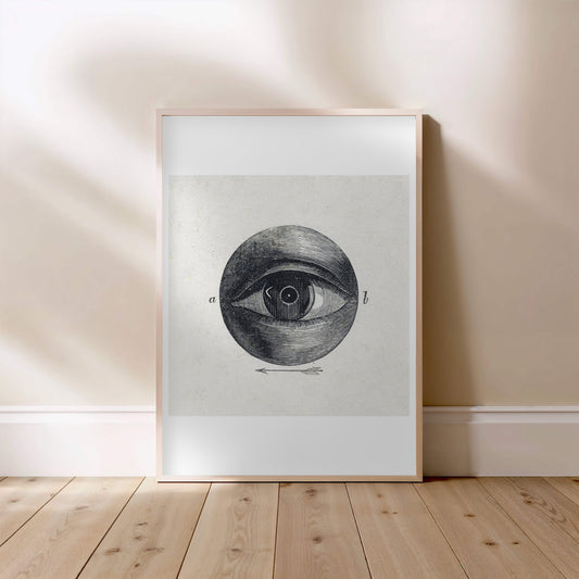 Anatomie de l'Oeil - Planche Scientifique XIXe - Affiche Sciences, affiche encadrée posée au sol, cadre bois clair