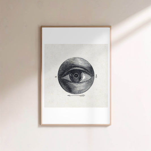 Anatomie de l'Oeil - Planche Scientifique XIXe - Affiche Sciences en situation