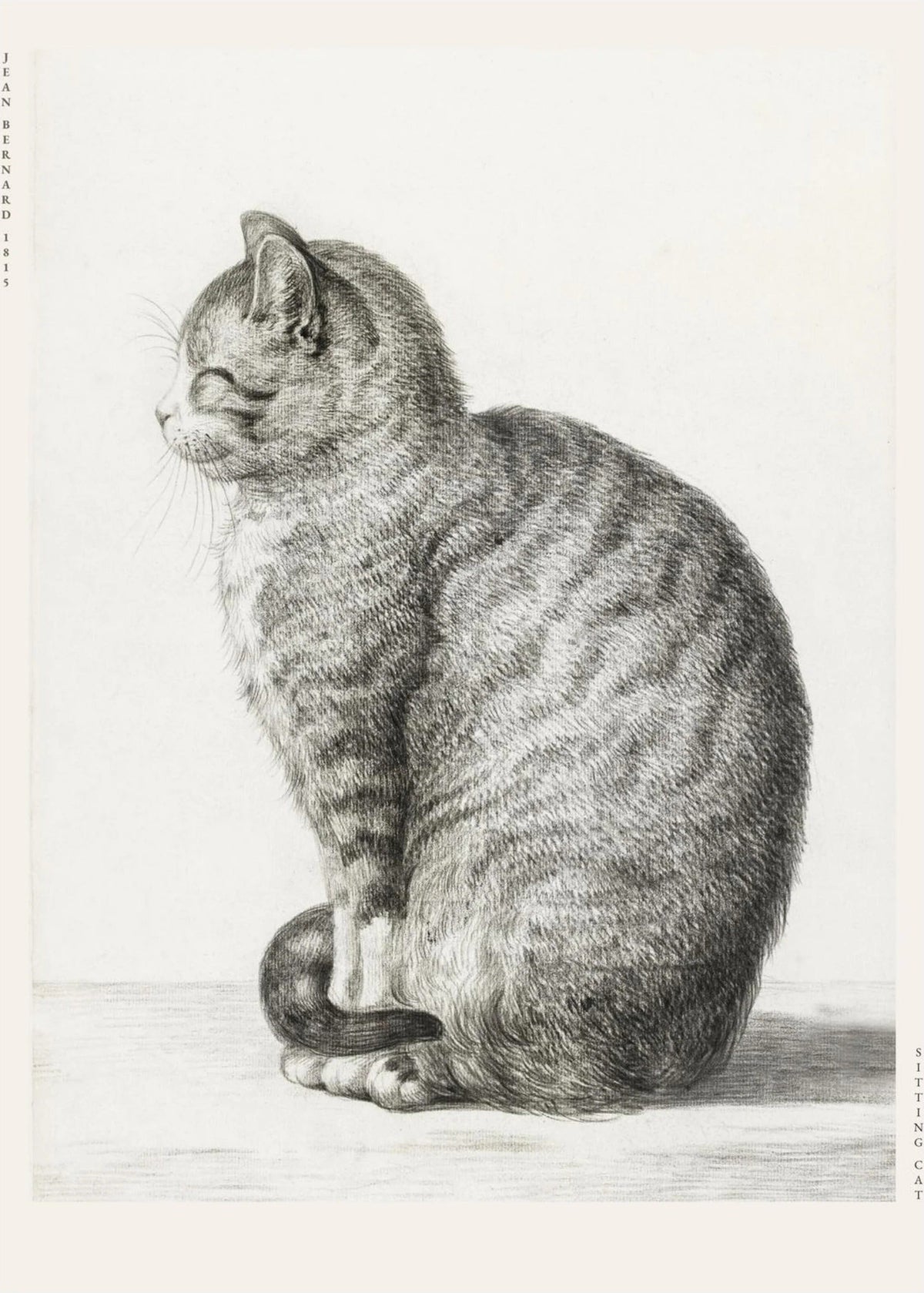 Chat Assis - Jean Bernard - Affiche Art Animalier, l'affiche seule, papier épais mat éco-responsable