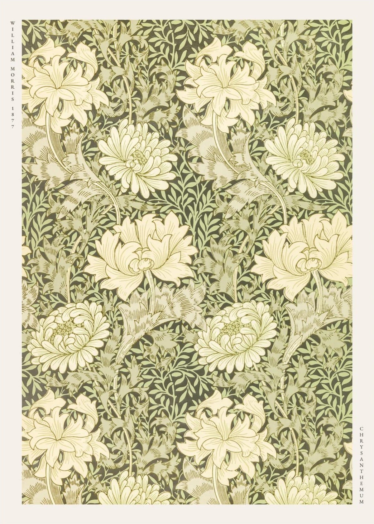 Chrysanthemum - William Morris - Affiche Arts & Crafts, l'affiche seule, papier épais mat éco-responsable