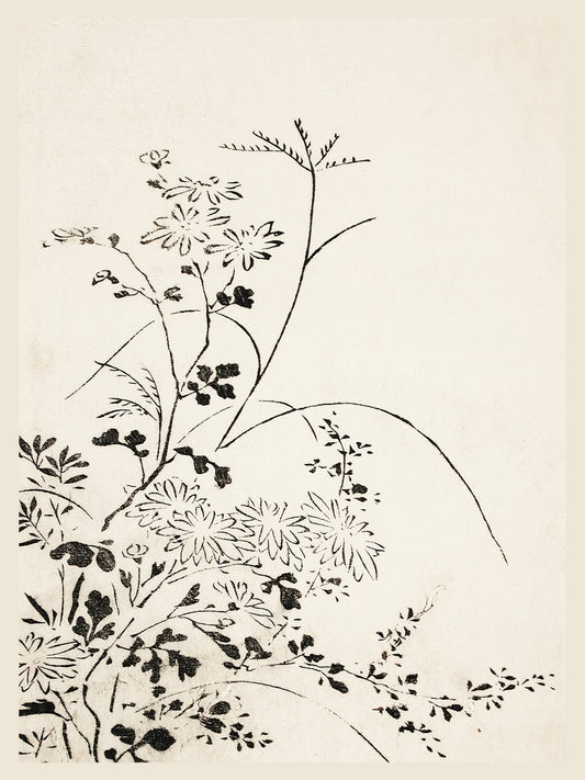 Fleurs Sauvages - Estampe Japonaise à l'Encre - Art du Japon