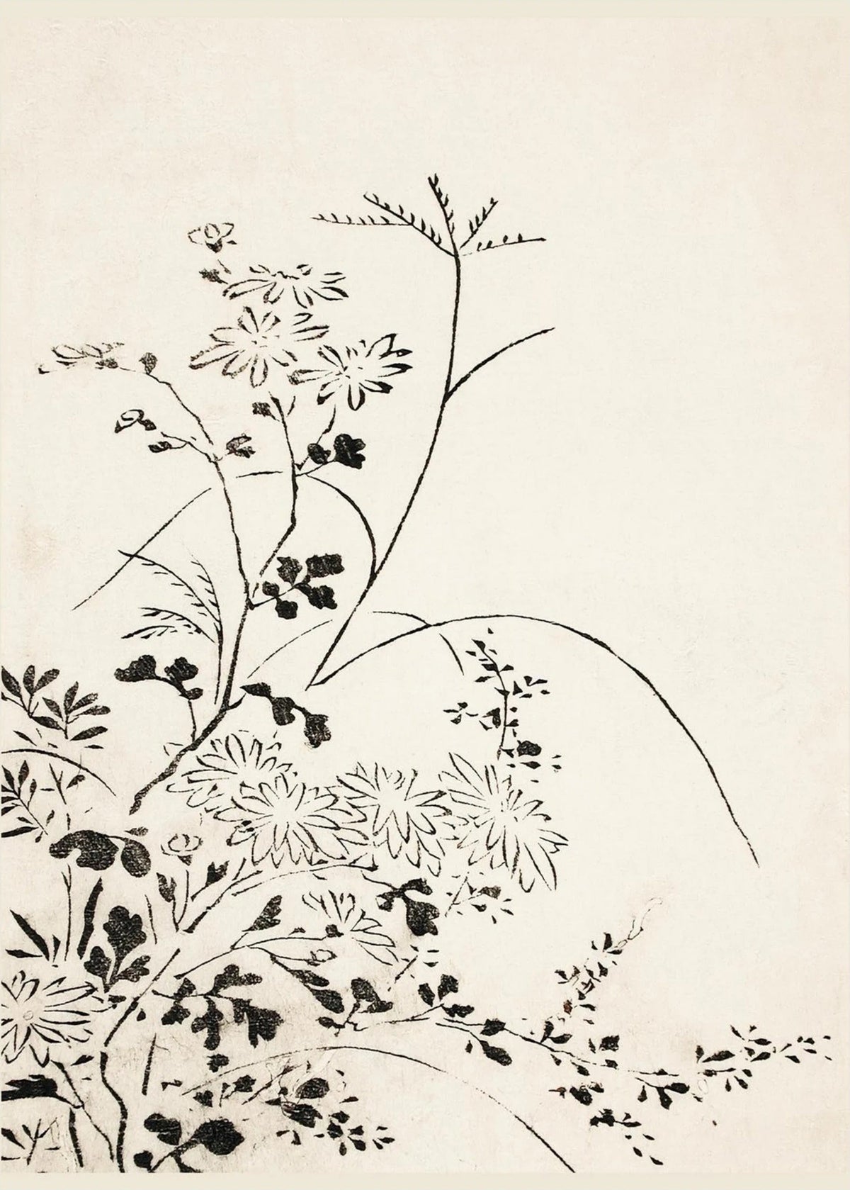 Fleurs Sauvages - Estampe Japonaise à l'Encre, l'affiche seule, papier épais mat éco-responsable