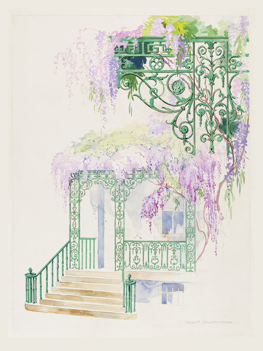 Glycine sur une Facade - Aquarelle Botanique Vintage