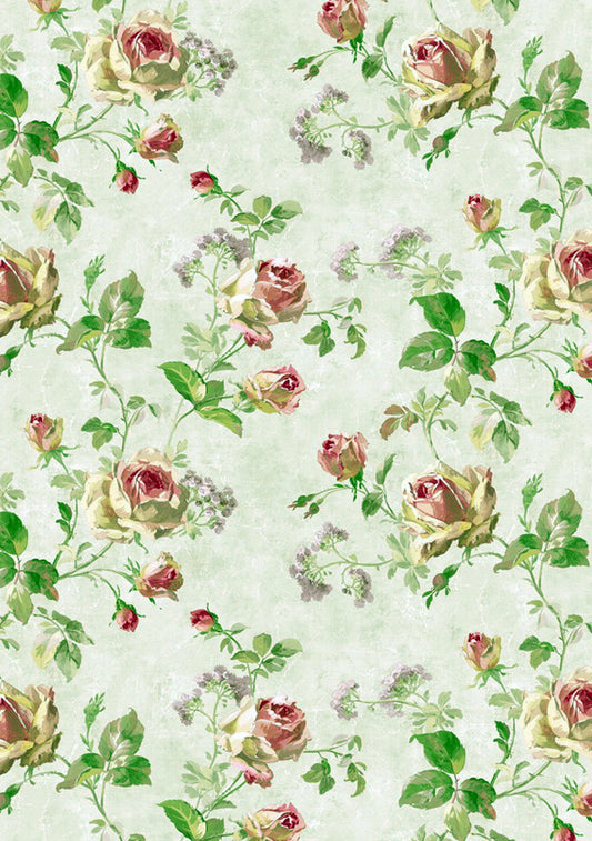 Motif de roses | Affiche Art Botanique Premium