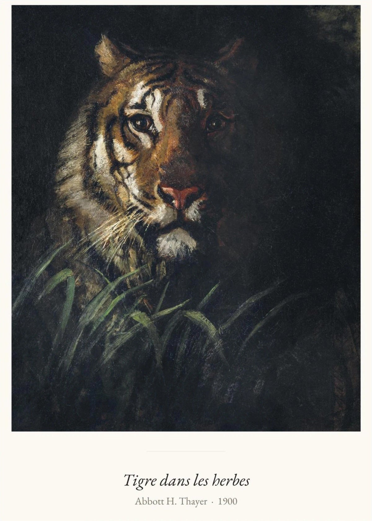 Tigre dans les herbes, Abbott H. Thayer, l'affiche seule, papier épais mat éco-responsable