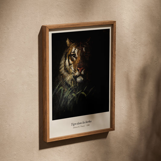 Tigre dans les herbes, Abbott H. Thayer, affiche dans un cadre en chêne posé de biais sur un mur texturé