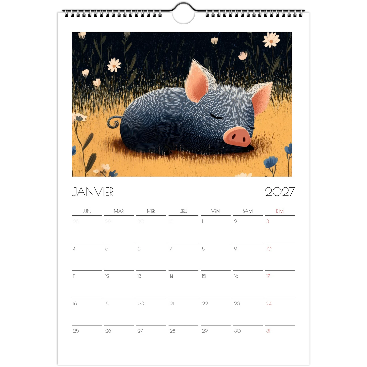 Janvier 2027 du calendrier enfant, un cochon endormi dans l'herbe haute et les marguerites
