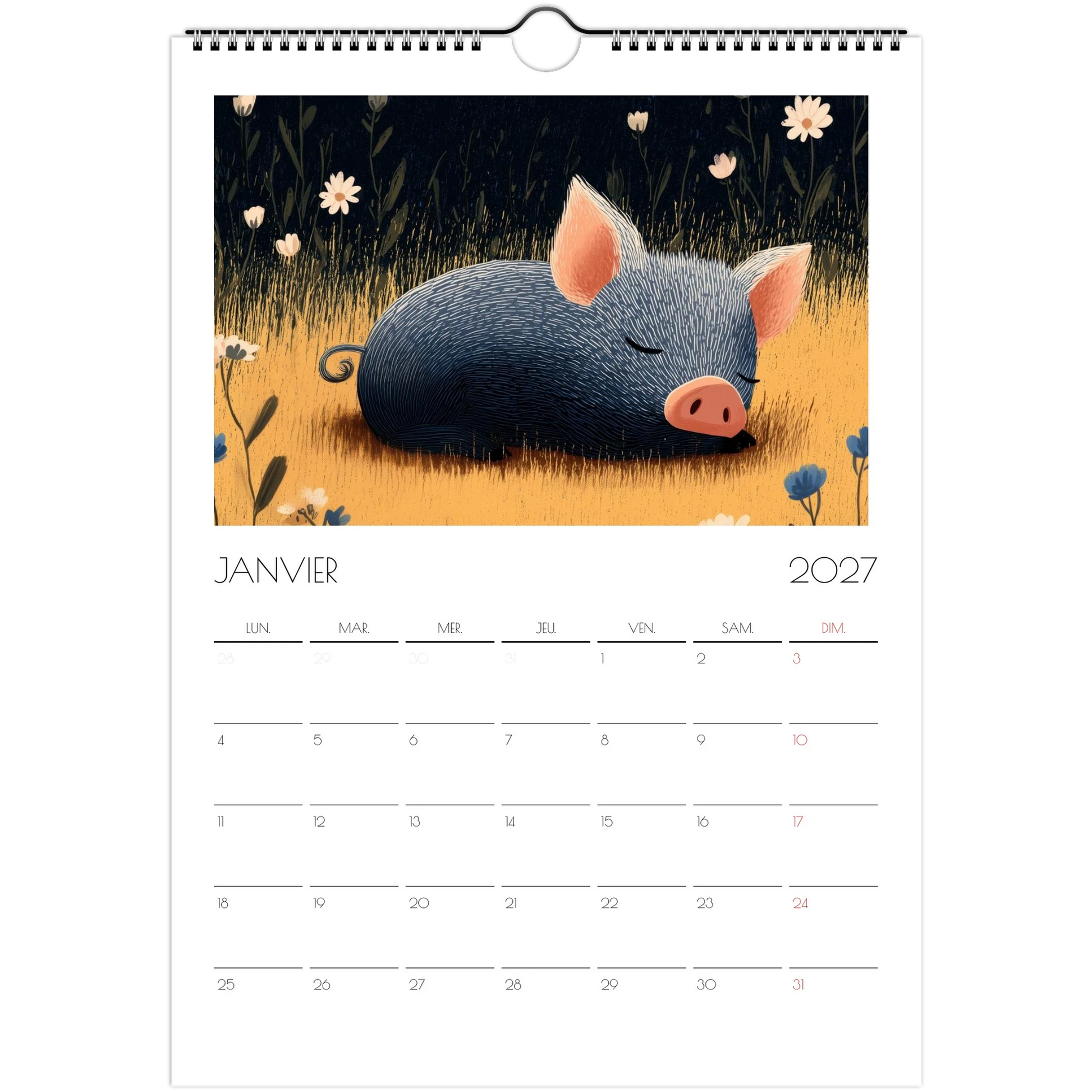 Janvier 2027 du calendrier enfant, un cochon endormi dans l'herbe haute et les marguerites