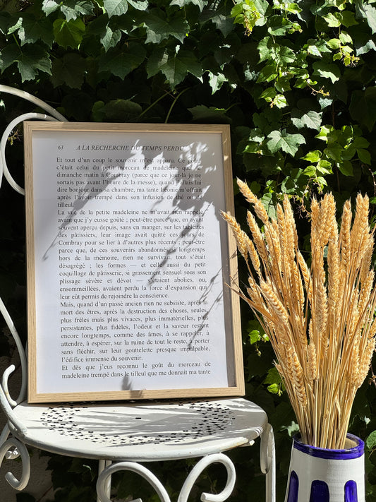 Page 63, passage de la madeleine de proust, impression sur affiche grand format