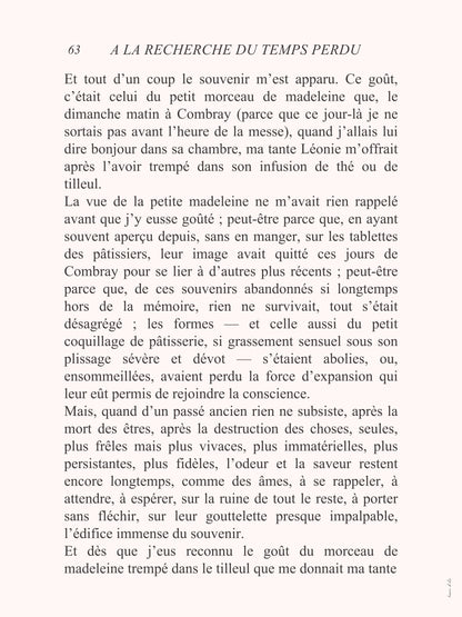 À la recherche du temps perdu - Marcel Proust - affiche à plat