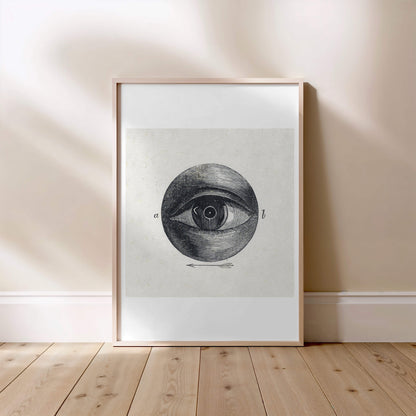 Anatomie de l'Oeil - Planche Scientifique XIXe - Affiche Sciences