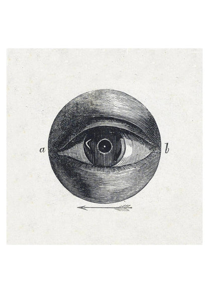 Anatomie de l'Oeil - Planche Scientifique - Affiche Sciences, l'affiche seule, papier épais mat éco-responsable