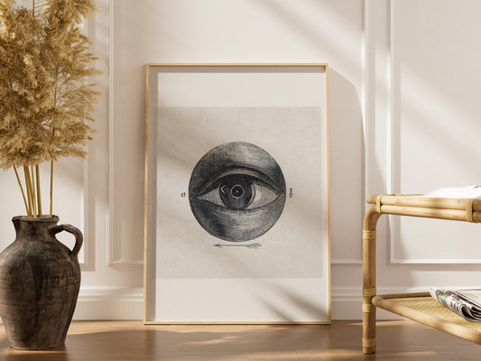 Anatomie de l'Oeil - Planche Scientifique XIXe - Affiche Sciences, affiche encadrée dans un intérieur élégant, cadre bois cla