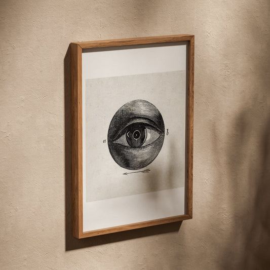 Anatomie de l'Oeil - Planche Scientifique - Affiche Sciences, affiche dans un cadre en chêne posé de biais sur un mur texturé