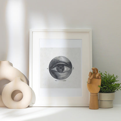 Anatomie de l'Oeil - Planche Scientifique - Affiche Sciences, affiche encadrée posée près d'un vase blanc, lumière rasante