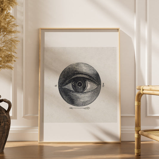Anatomie de l'Oeil - Planche Scientifique - Affiche Sciences, affiche encadrée dans un intérieur élégant, herbes séchées et c