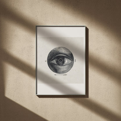 Anatomie de l'Oeil - Planche Scientifique - Affiche Sciences, affiche encadrée sur un mur beige, ombres de fenêtre