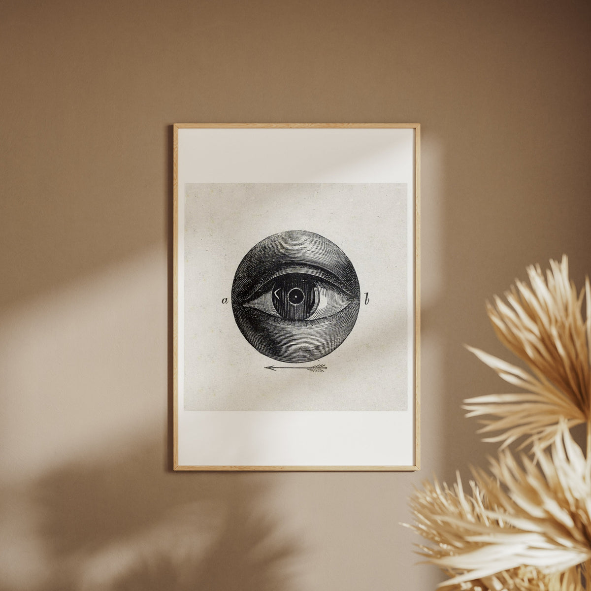 Anatomie de l'Oeil - Planche Scientifique - Affiche Sciences, affiche encadrée sur un mur beige, pampas au premier plan