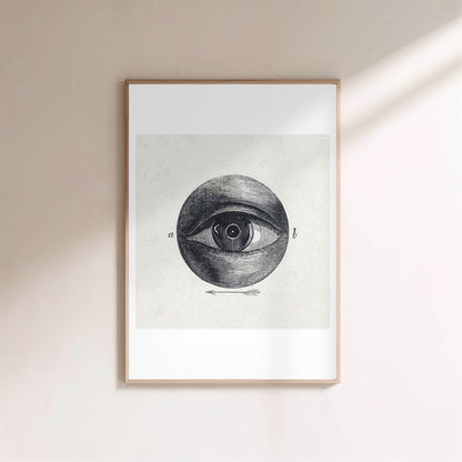 Anatomie de l'Oeil - Planche Scientifique XIXe - Affiche Sciences en situation