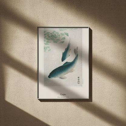 Carpes, Ohara Koson | Affiche Estampe Japonaise, affiche encadrée sur un mur beige, ombres de fenêtre