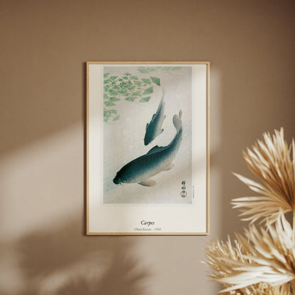 Carpes, Ohara Koson | Affiche Estampe Japonaise, affiche encadrée sur un mur beige, pampas au premier plan