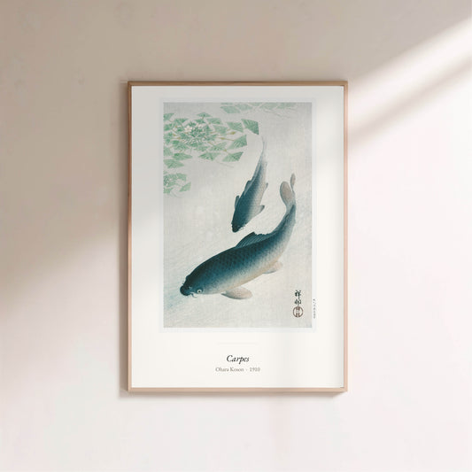 Carpes, Ohara Koson | Affiche Art Premium Japonisme en situation