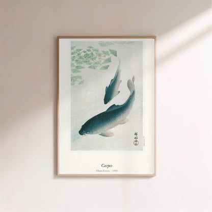 Carpes, Ohara Koson | Affiche Estampe Japonaise, affiche encadrée sur un mur clair