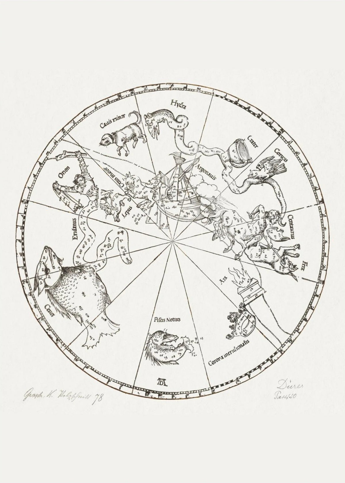 Carte du Ciel - Albrecht Dürer (1515) - Affiche Astronomie, l'affiche seule, papier épais mat éco-responsable