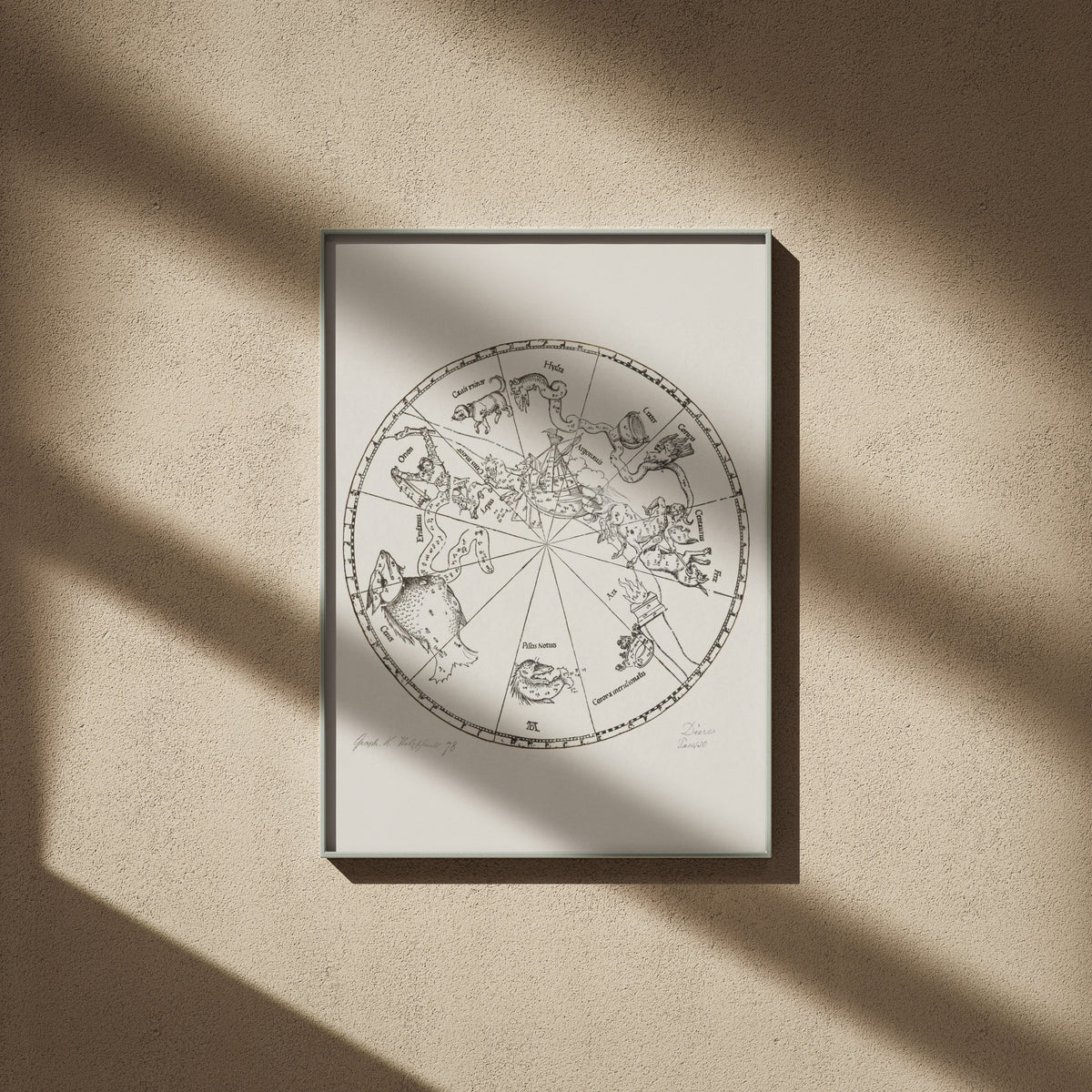 Carte du Ciel - Albrecht Dürer (1515) - Affiche Astronomie, affiche encadrée sur un mur beige, ombres de fenêtre