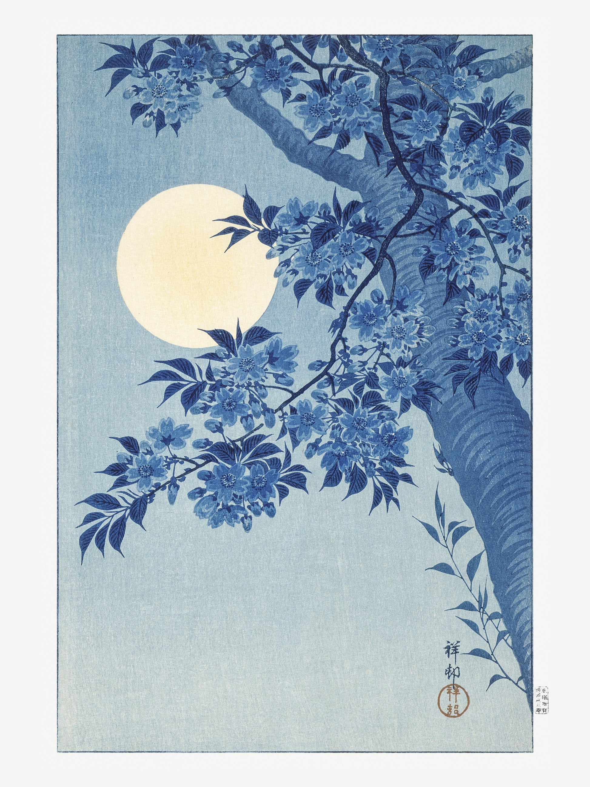 Cerisiers en Fleurs et Lune - Ohara Koson - Estampe Japonaise