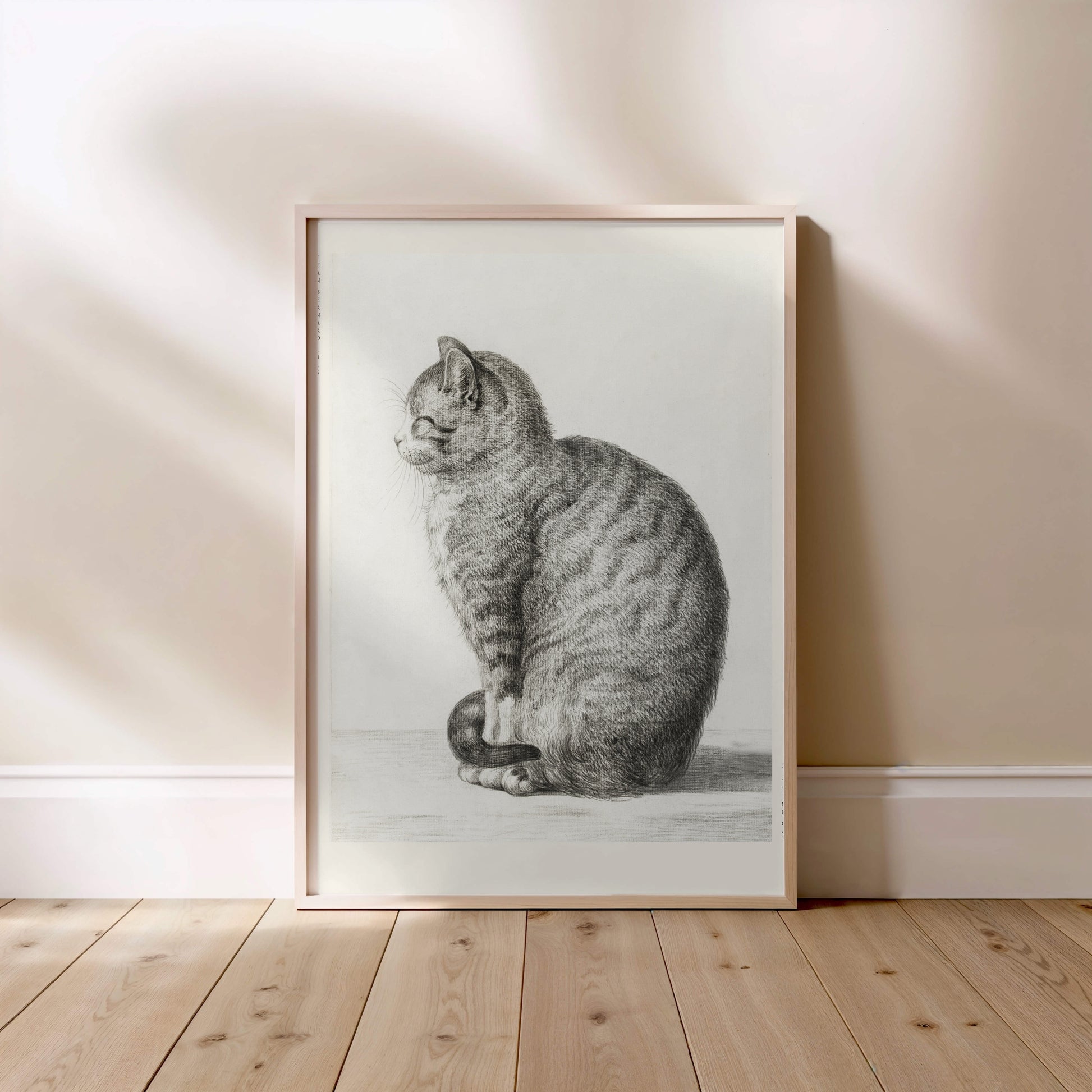 Chat Assis - Jean Bernard - Affiche Illustration Animalière