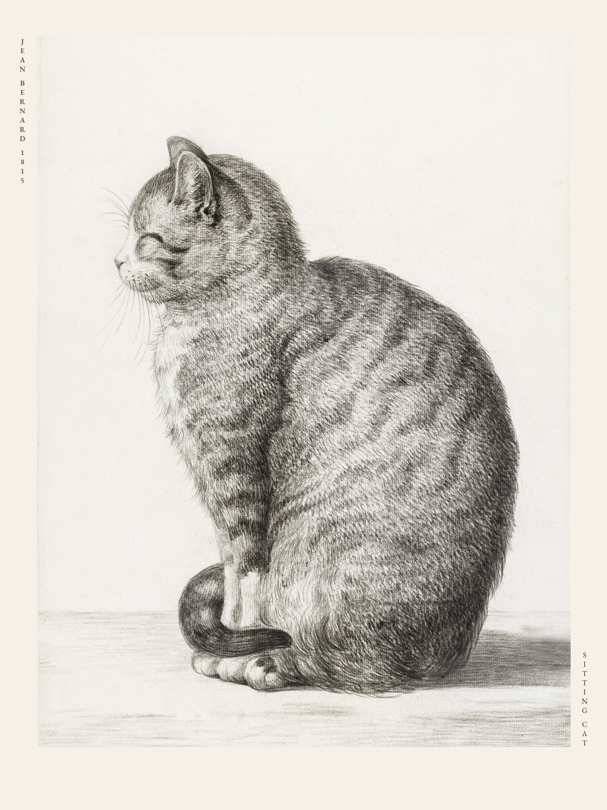 Chat Assis - Jean Bernard - Affiche Illustration Animalière