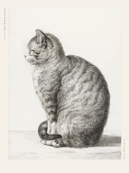 Chat Assis - Jean Bernard - Affiche Illustration Animalière