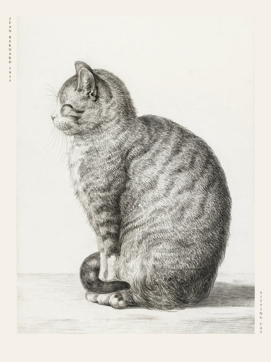 Chat Assis - Jean Bernard - Affiche Illustration Animalière