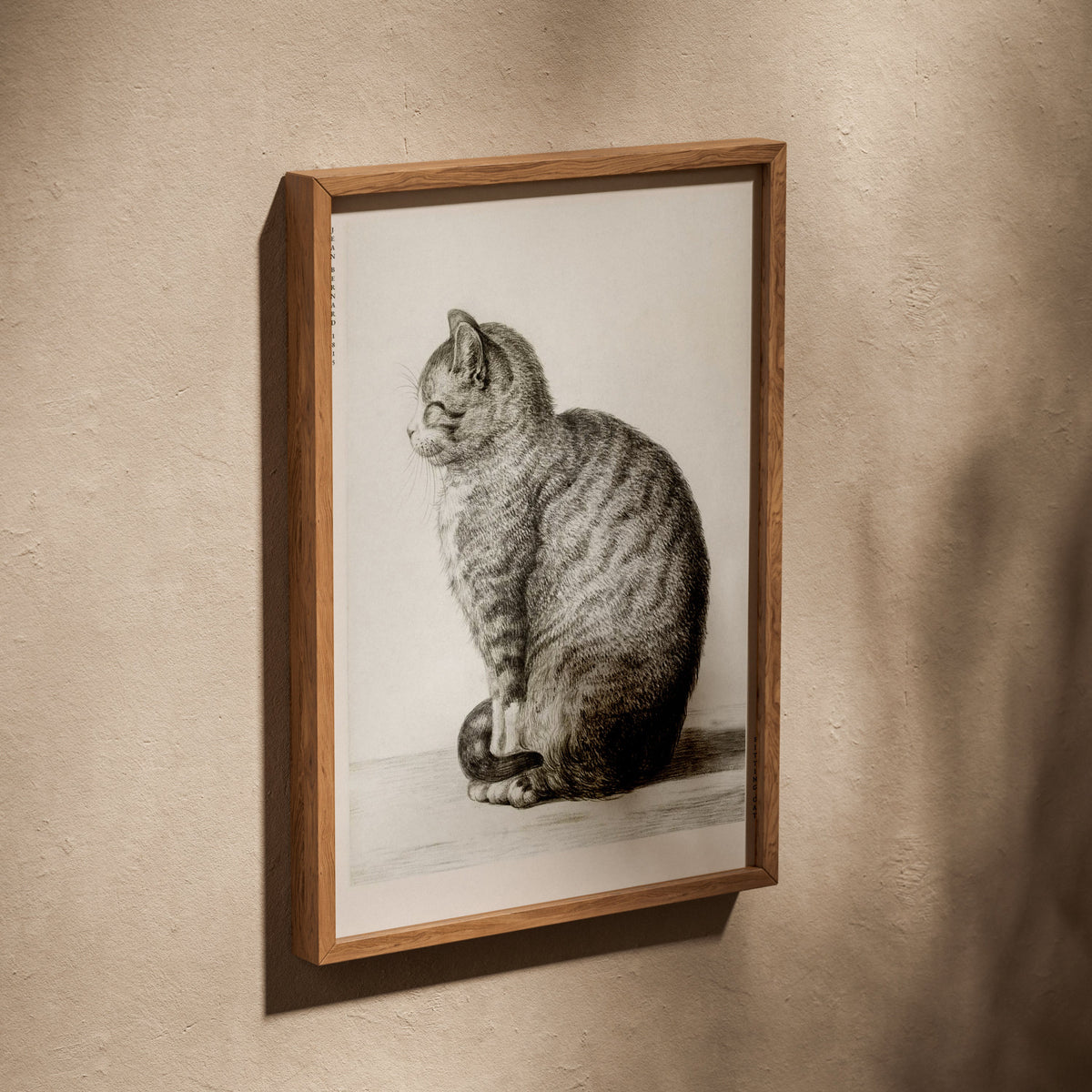 Chat Assis - Jean Bernard - Affiche Art Animalier, affiche dans un cadre en chêne posé de biais sur un mur texturé