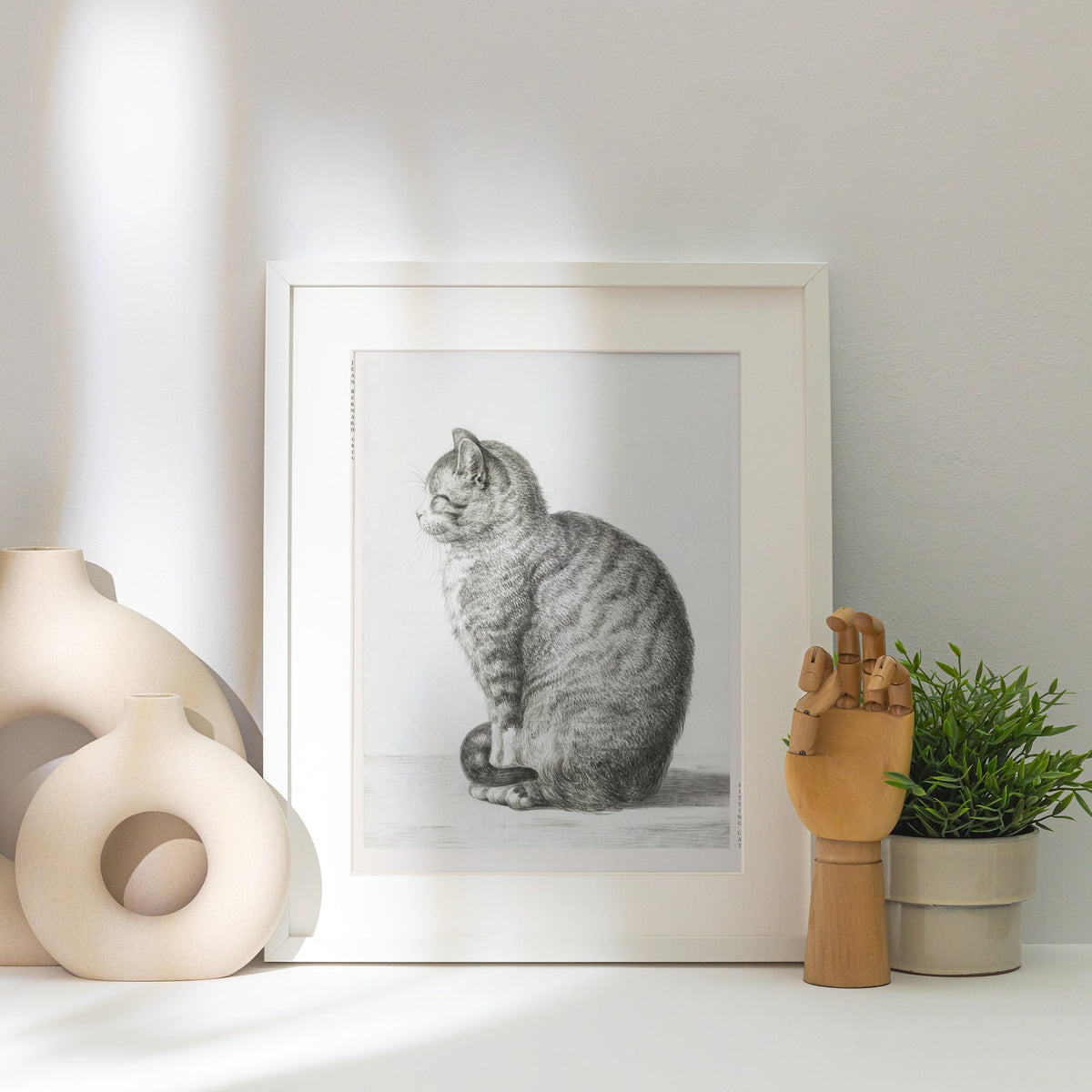Chat Assis - Jean Bernard - Affiche Art Animalier, affiche encadrée posée près d'un vase blanc, lumière rasante