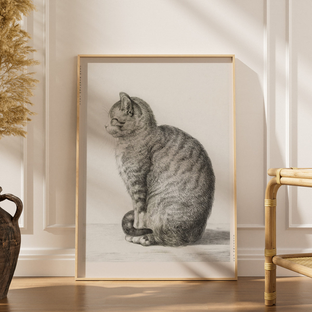 Chat Assis - Jean Bernard - Affiche Art Animalier, affiche encadrée dans un intérieur élégant, herbes séchées et chaise en ro