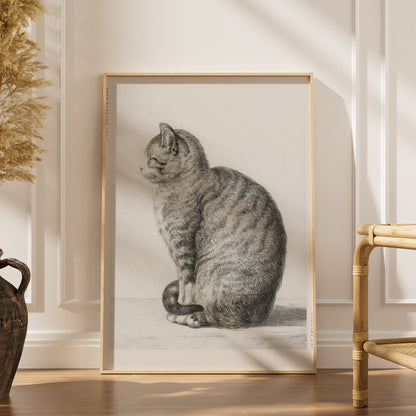 Chat Assis - Jean Bernard - Affiche Art Animalier, affiche encadrée dans un intérieur élégant, herbes séchées et chaise en ro