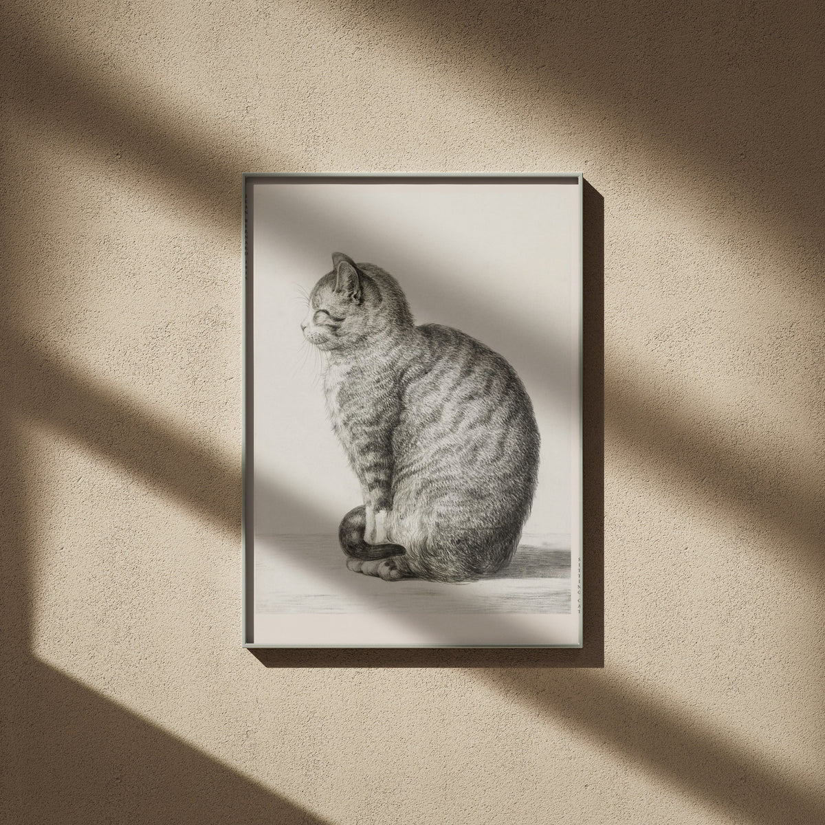 Chat Assis - Jean Bernard - Affiche Art Animalier, affiche encadrée sur un mur beige, ombres de fenêtre