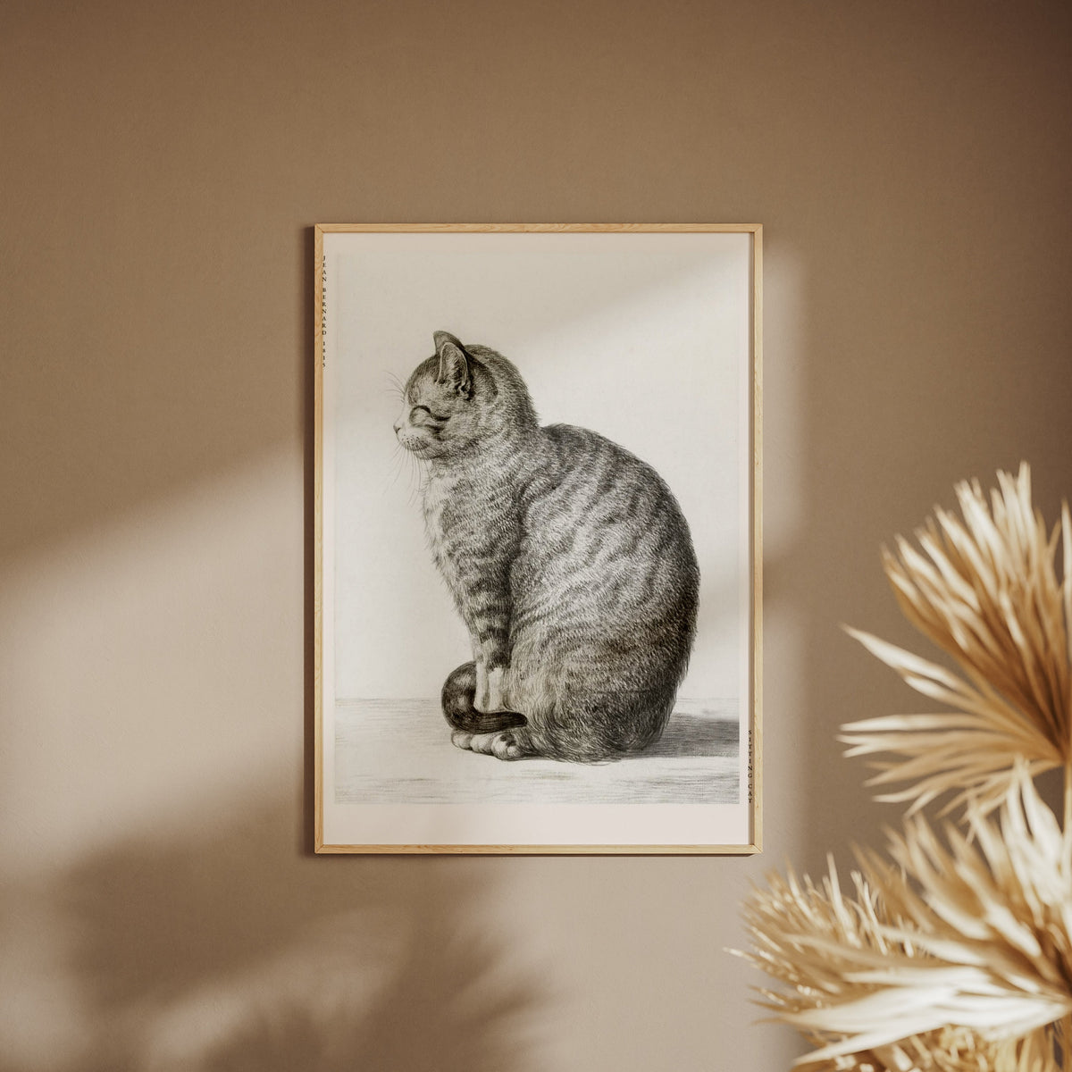 Chat Assis - Jean Bernard - Affiche Art Animalier, affiche encadrée sur un mur beige, pampas au premier plan