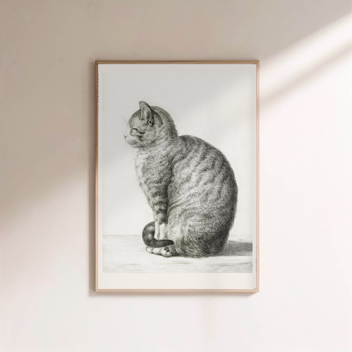 Chat Assis - Jean Bernard - Affiche Art Animalier, affiche encadrée sur un mur clair