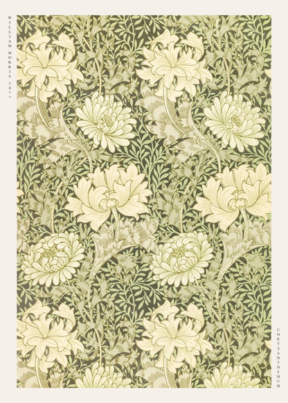 Chrysanthemum - William Morris - Affiche Arts & Crafts, l'affiche seule, papier épais mat éco-responsable