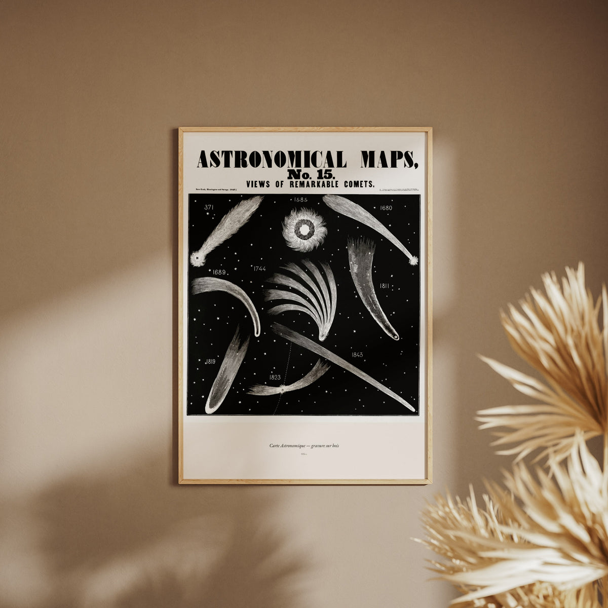 Cometes - Gravure Astronomique XIXe - Affiche Sciences, affiche encadrée sur un mur beige, pampas au premier plan