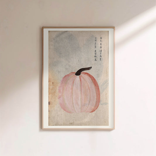 Courge Japonaise - Illustration Botanique - Affiche Vintage en situation