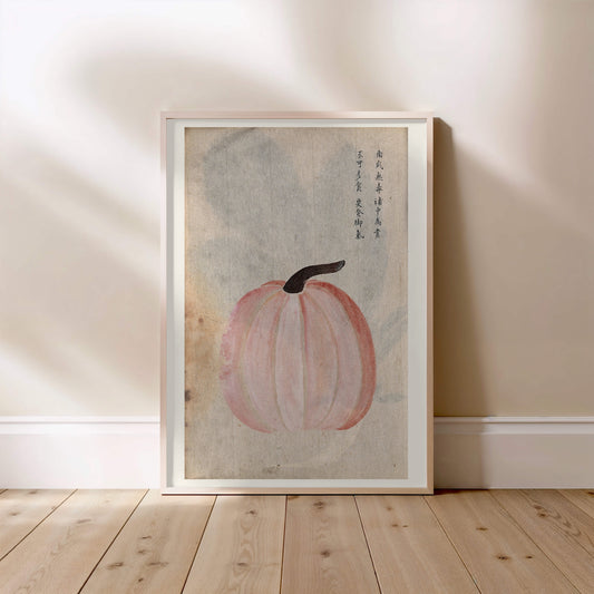 Courge Japonaise - Illustration Botanique - Affiche Vintage