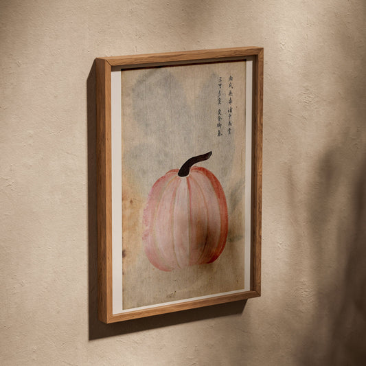Courge Japonaise - Illustration Botanique, affiche dans un cadre en chêne posé de biais sur un mur texturé