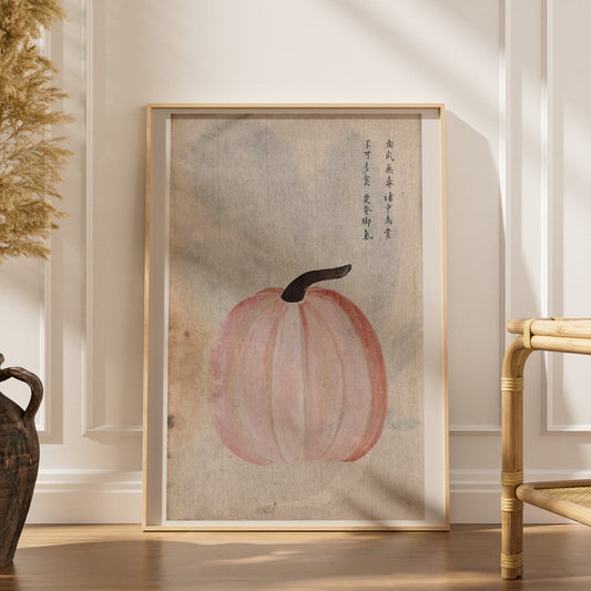 Courge Japonaise - Illustration Botanique, affiche encadrée dans un intérieur élégant, herbes séchées et chaise en rotin