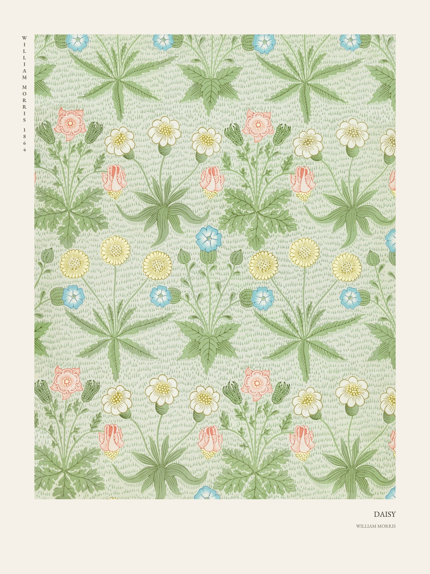 Daisy - William Morris - Affiche Arts & Crafts