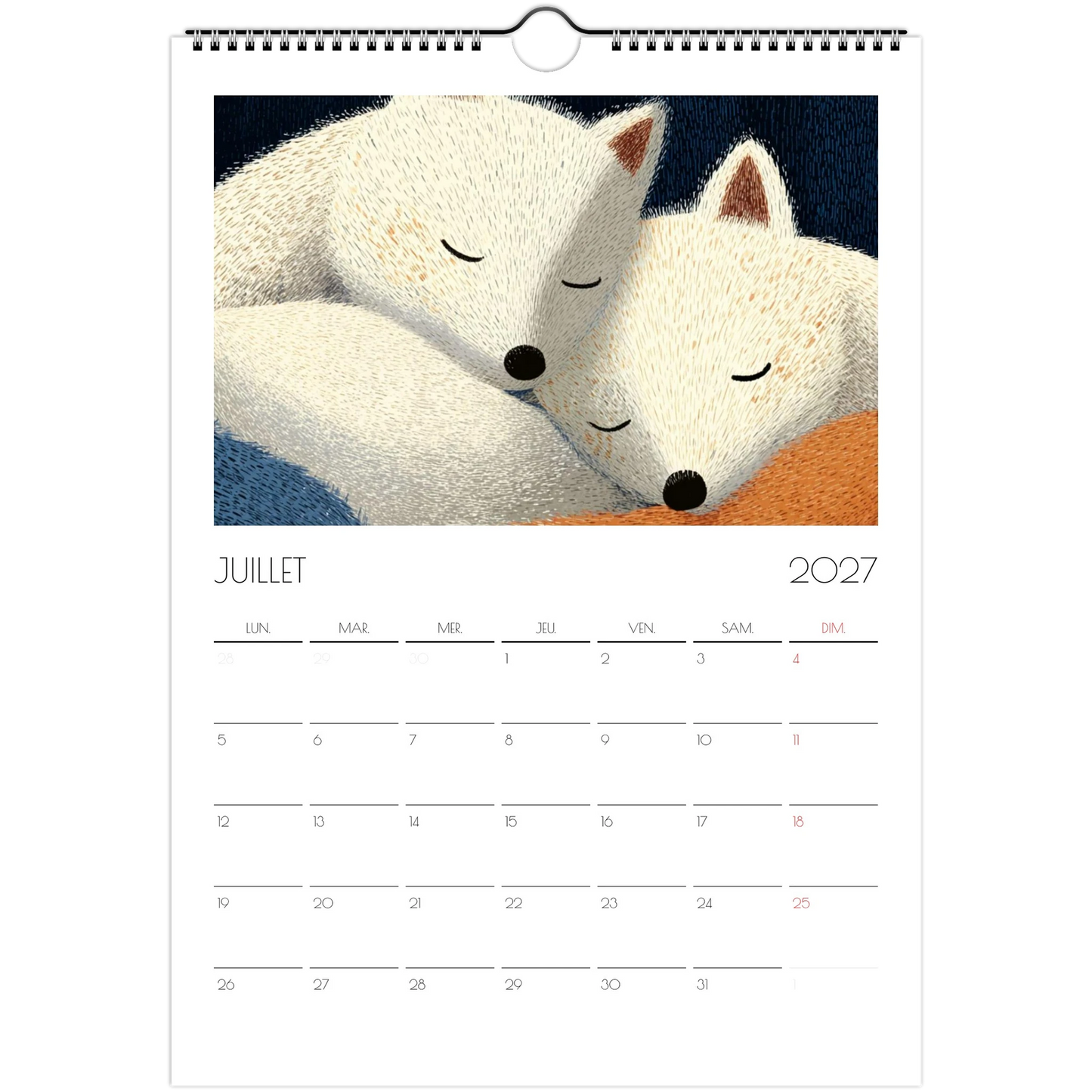 Juillet 2027 du calendrier enfant, deux renards polaires blancs endormis l'un contre l'autre