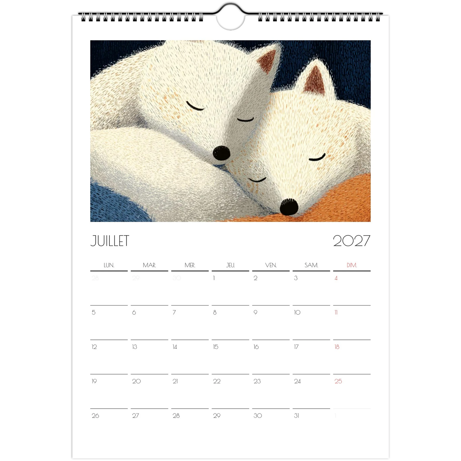 Juillet 2027 du calendrier enfant, deux renards polaires blancs endormis l'un contre l'autre